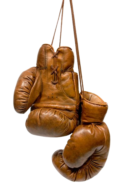 Old Boxing Gloves